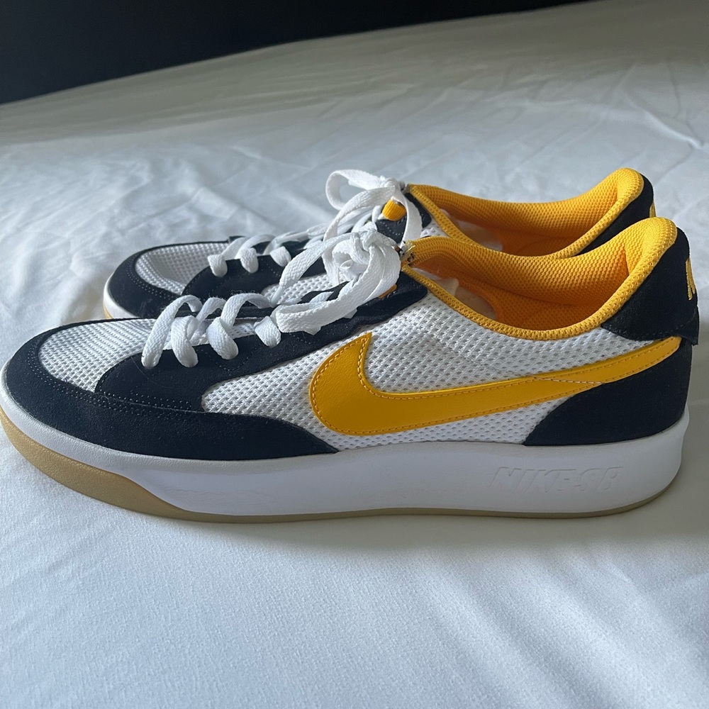 Nike SB adversary